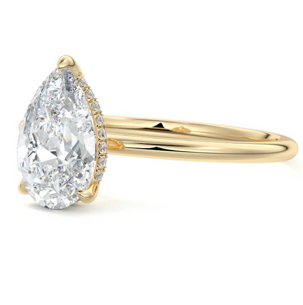 Hidden Halo | Pear