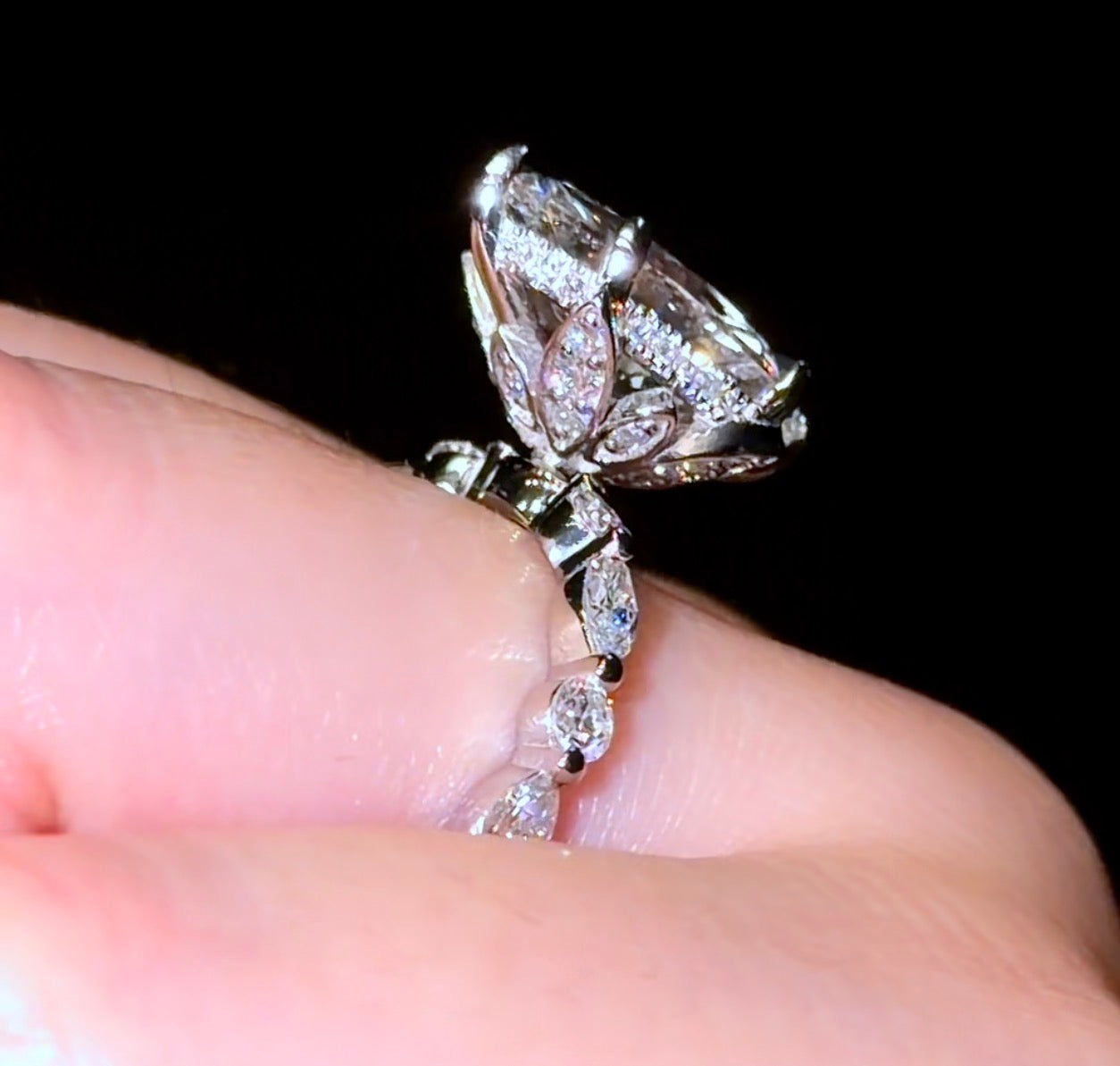 Marquise Hidden Halo Tierra